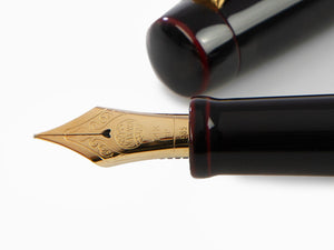 Pluma Estilográfica Nakaya Neo-Standard Kuro-Tamenuri, Laca Urushi