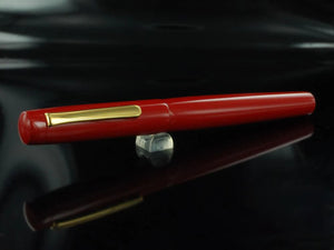 Pluma Estilográfica Nakaya Neo-Standard Shu, Ebonita