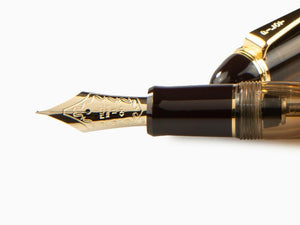 Pluma Estilográfica Pilot Custom 823 Ambar, Resina, Adornos oro, 60556