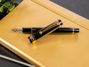 Pluma Estilográfica Pilot Custom 845, Ebonita, Oro, Negro, NC845N